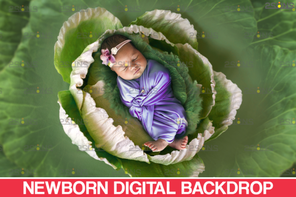 Enhance Newborn Photos with Floral Backdrops